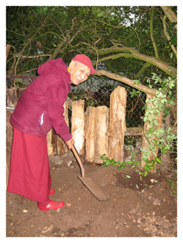 Geshla Damcho in the Garden at Lam Rim Dig for Victory